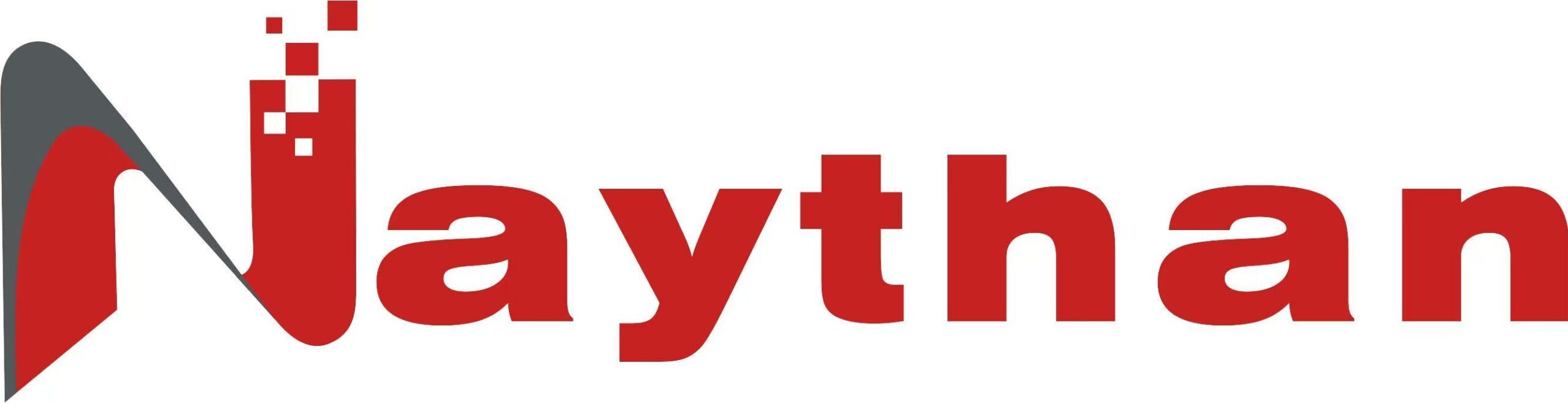 株式会社ネイサンジャパン